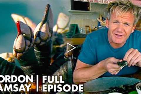 Gordon Ramsay Finds Out Why Goose Barnacle Are So Expensive | The F Word FULL EPISODE
