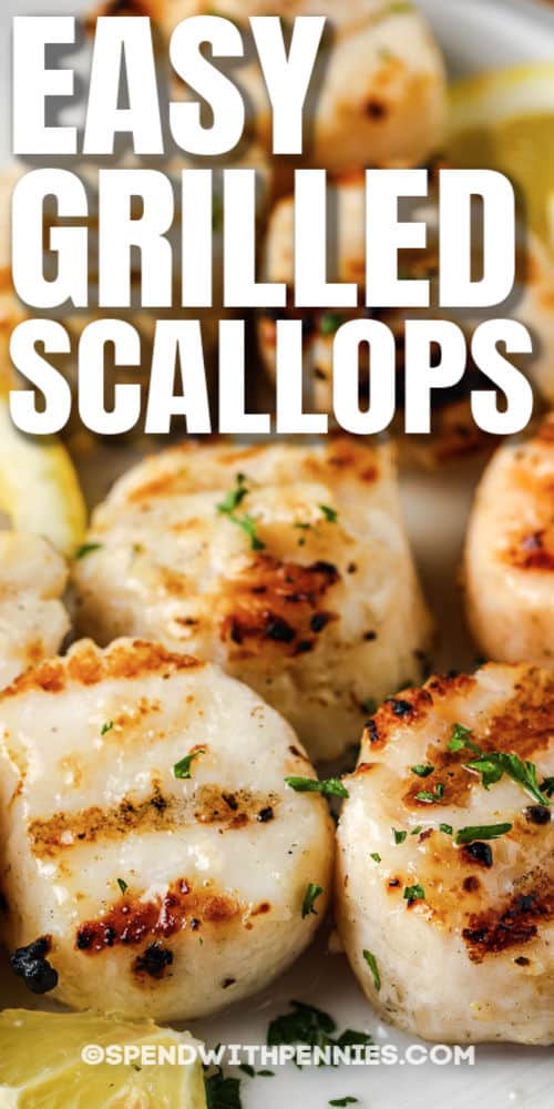 How to Grill Scallops