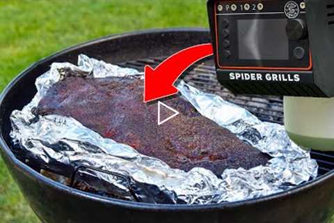 Answering your Spider Venom Questions While Smoking Brisket