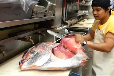 Giant Opah Fish Fillet Cutting Techniques Skills Compilation