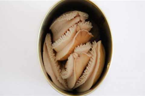Can canned abalone water be used?