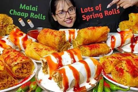 Eating lots of Spring Rolls and Malai Chap Rolls | Big Bites | Asmr Eating | Mukbang | Street Food