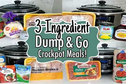 6 DUMP & GO CROCKPOT DINNERS | The EASIEST 3-Ingredient Slow Cooker Recipes! | Julia Pacheco