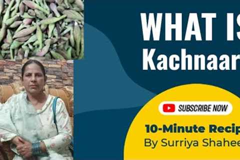 Kachnar-Chicken Recipe|Delicious|Simple|Quick #youtube #youtuber #recipes #recipe #delicious #food