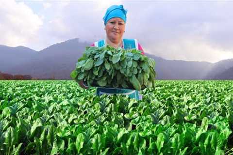 SPINACH IS A VITAMIN / Cooked an unforgettable meal from fresh spinach???