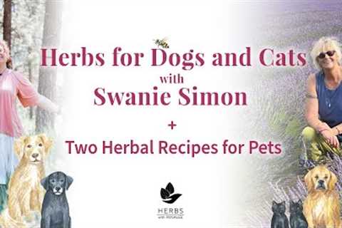 Safe Herbs for Dogs and Cats with Swanie Simon + Two Herbal Recipes for Pets