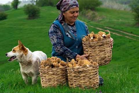 Morel Mushrooms: Harvesting and Cooking