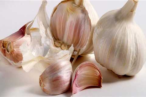 Garlic: A Comprehensive Overview