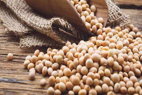 Cooking Soybeans: An Easy Guide