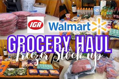 $170 STOCKING THE FREEZER || WEEKLY WALMART GROCERY HAUL