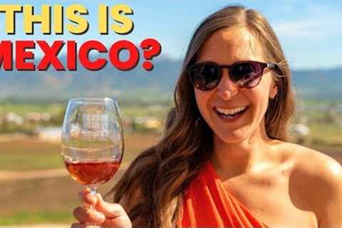 Exploring Mexico Wine Country! (Valle de Guadalupe Baja Travel Guide)