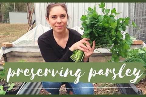 How to Preserve Parsley | Easy Method to Freezing Fresh Herbs
