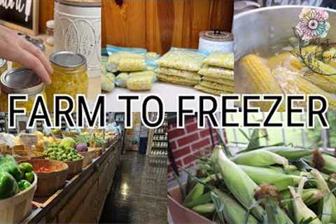 Preserving Food For Winter || Stocking up my freezer + canning corn