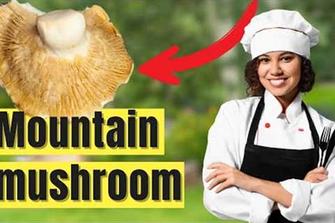 Wild Mushroom Magic: Health Benefits with These Irresistible Vegetarian Recipes!