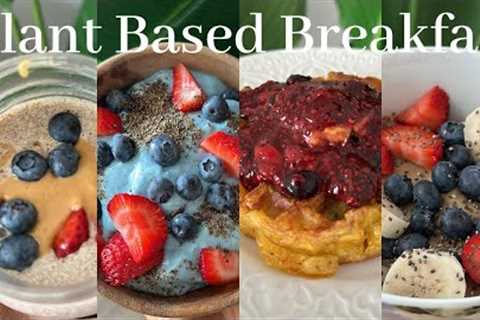 High Raw Plant Based Breakfast Ideas