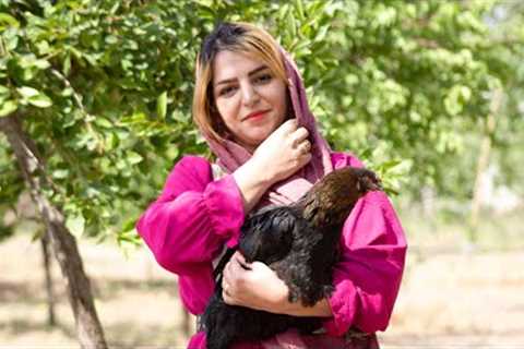 Cooking Baghali polo with chicken in the village - Popular Iranian food
