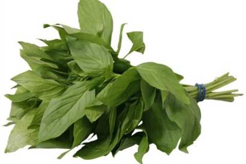 Unleash the Power of Fresh Herbs - A Feast for Your Senses!