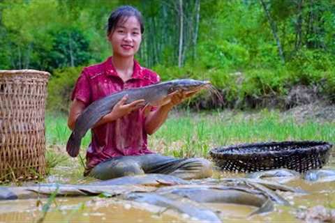 Ella Harvesting Catfish Goes to the market sell