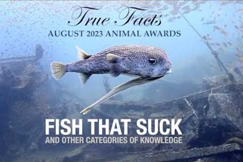 True Facts: Fish That Suck