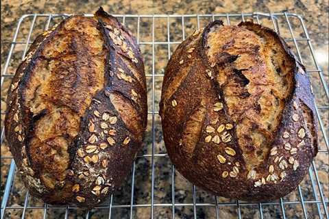 Honeyed Spelt and Oat Levain