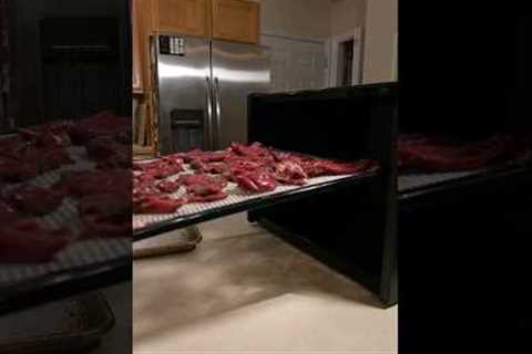 Elk Shoulder: Making Jerky