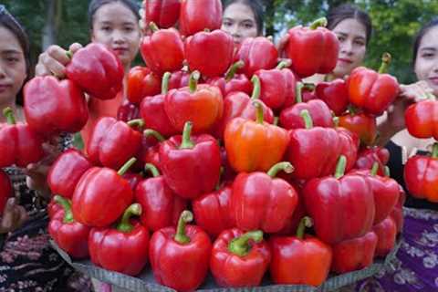 Red bell pepper boiled with egg boiled cook recipe with my family - Amazing video