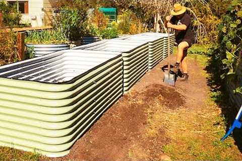 Dirt CHEAP But PREMIUM Way to Fill LOTS of Raised Garden Beds