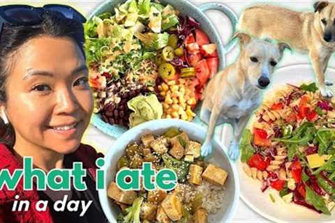 REALISTIC WHAT I ATE IN A DAY | My dogs, high protein meals, self care (VEGAN)