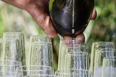 Wine-Making Classes in Central Florida: A Comprehensive Guide
