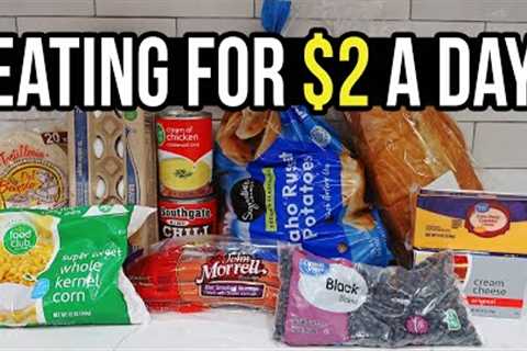 Eating for $2 a Day: Cheap and Healthy Meal Ideas You Need to Try