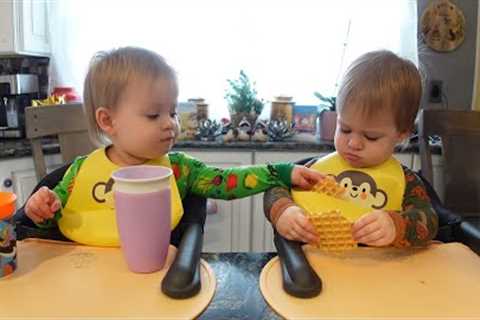 Twins try pizzelle
