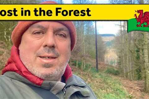 4. Getting Lost in the Forest | Living Alone in Wales