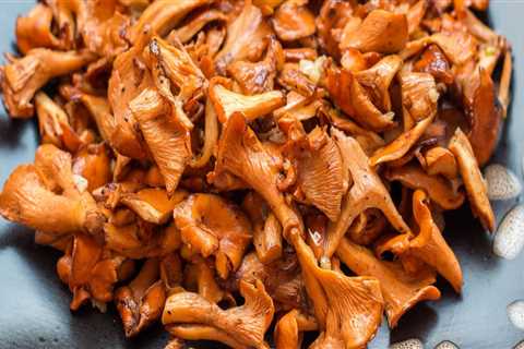 A Beginner's Guide to Cooking with Chanterelle Mushrooms