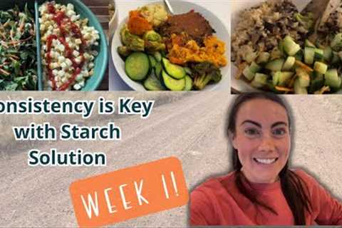 Consistency is Key with Starch Solution: Week 1!