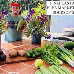 PINELLAS FARMERS AND FLEA MARKET (STAR APPLE/ SOURSOP/SAPODILLA)