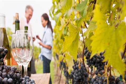 Sip, Savor, And Explore: A Guide To Winery Tours In Central Florida