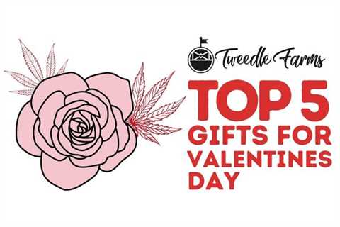 Valentine’s Day CBD Gift Guide 2024