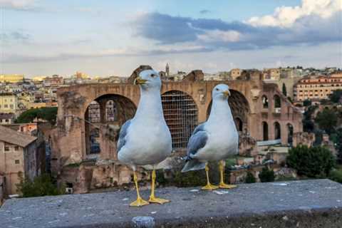 How Did Roman Winemaking Techniques Influence Modern Italian Wines?