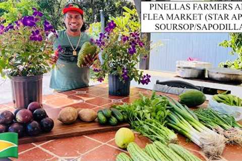 PINELLAS FARMERS AND FLEA MARKET (STAR APPLE/ SOURSOP/SAPODILLA)