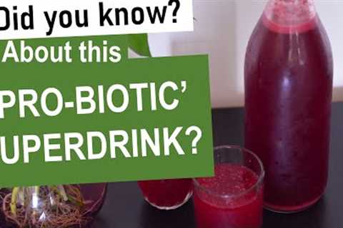 Indian PROBIOTIC For Gut Health | Probiotic Kanji Recipe | Indian Probiotic drink