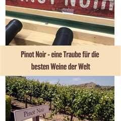 Fragt man die besten Sommeliers der Welt oder die größten Weinsammler, warum sie Pinot Noir so sehr ..