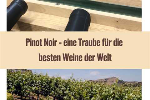 Fragt man die besten Sommeliers der Welt oder die größten Weinsammler, warum sie Pinot Noir so sehr ..