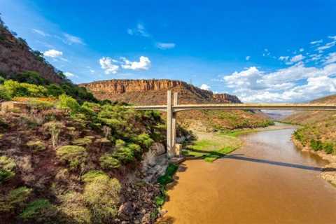 Kawa Zmienia Poranki Polaków: Ewolucja Rytuałów Codziennych